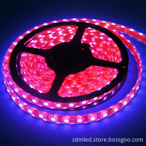 Waterproof IP68 smd led strips
